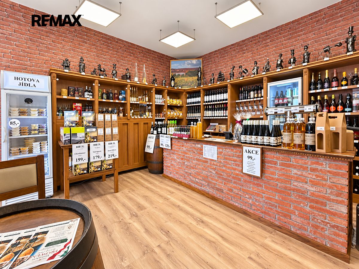 Pronájem komerční nemovitosti 54 m²