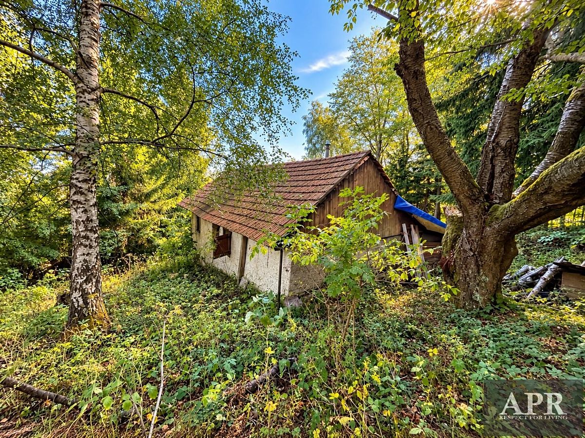 Prodej chalupy 41 m², pozemek 6165 m² – fotografie 5