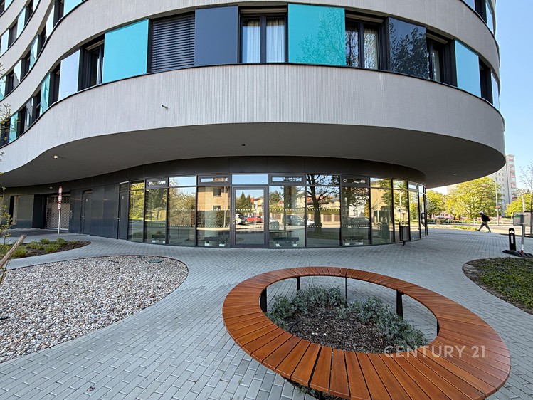 Prodej komerčního prostoru, 315 m² (5 z 19)