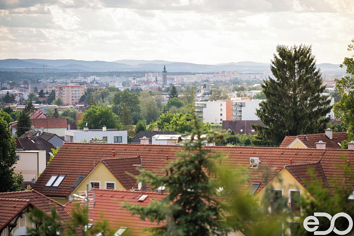 Prodej rodinného domu 401 m², pozemek 2071 m² – fotografie 3
