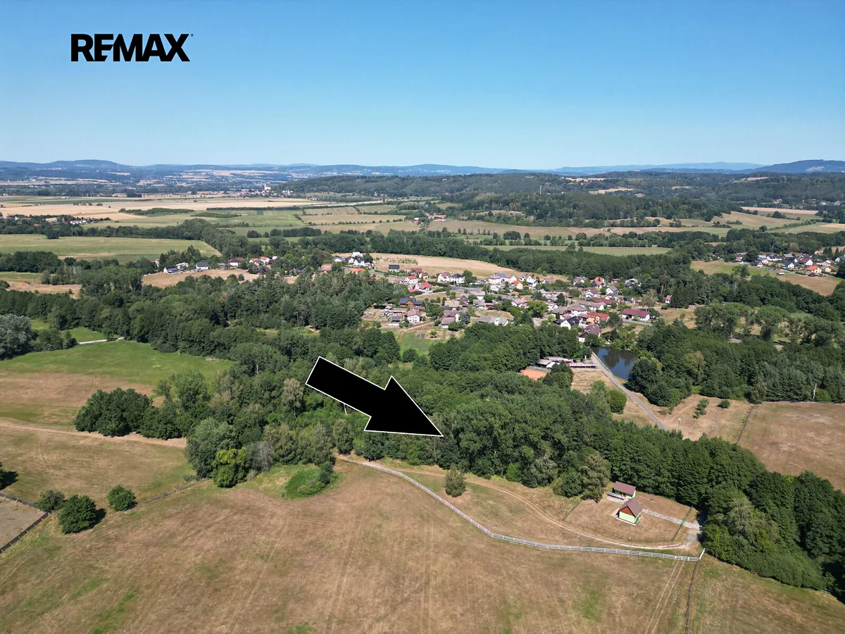 Prodej lesa 1690 m²