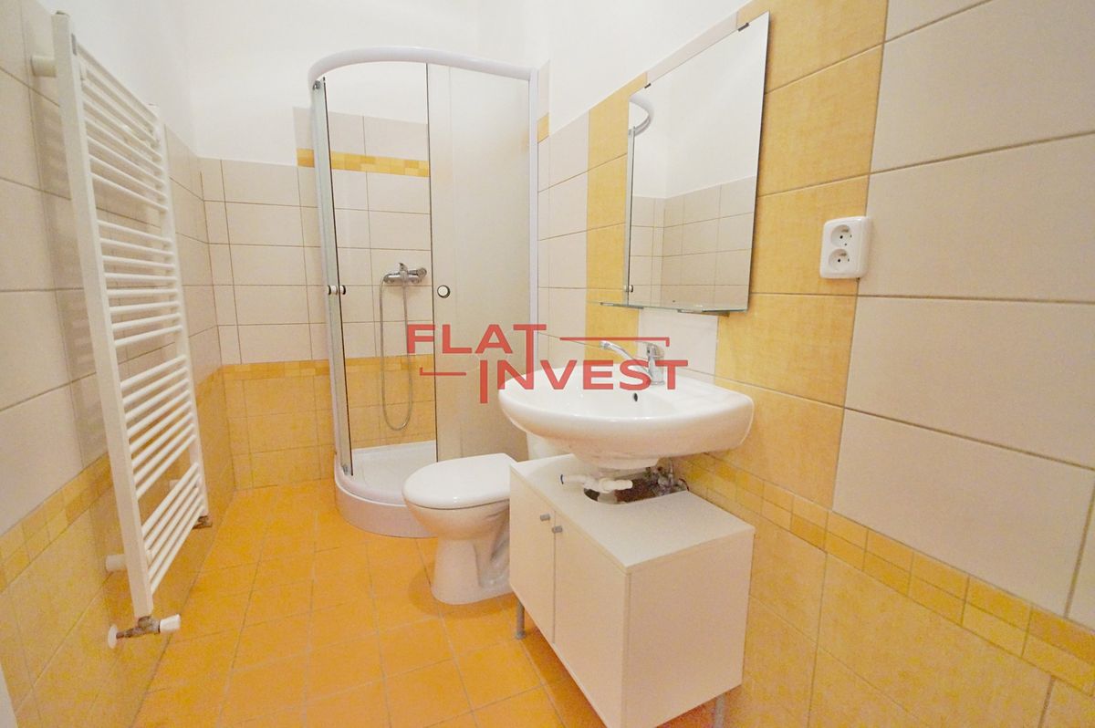 Pronájem bytu 1+kk 24 m² – fotografie 4