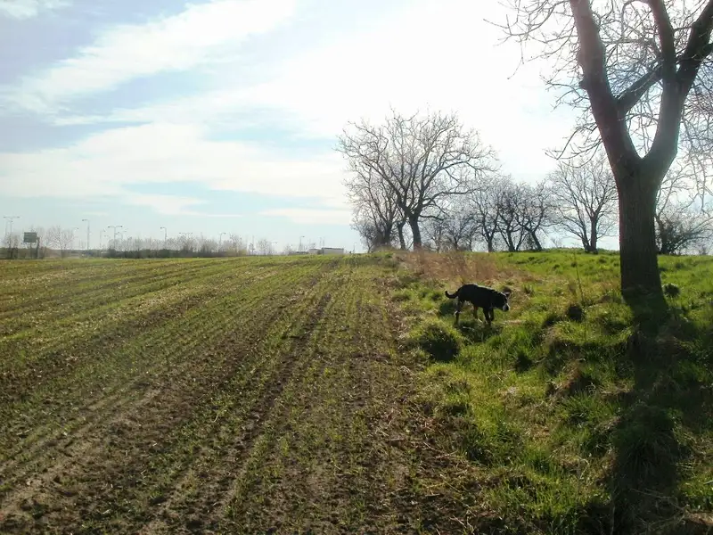 Prodej komerčního pozemku 18000 m², Olomouc – náhled fotky 1