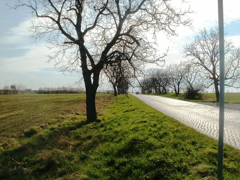 Prodej komerčního pozemku 18000 m², Olomouc – náhled fotky 2