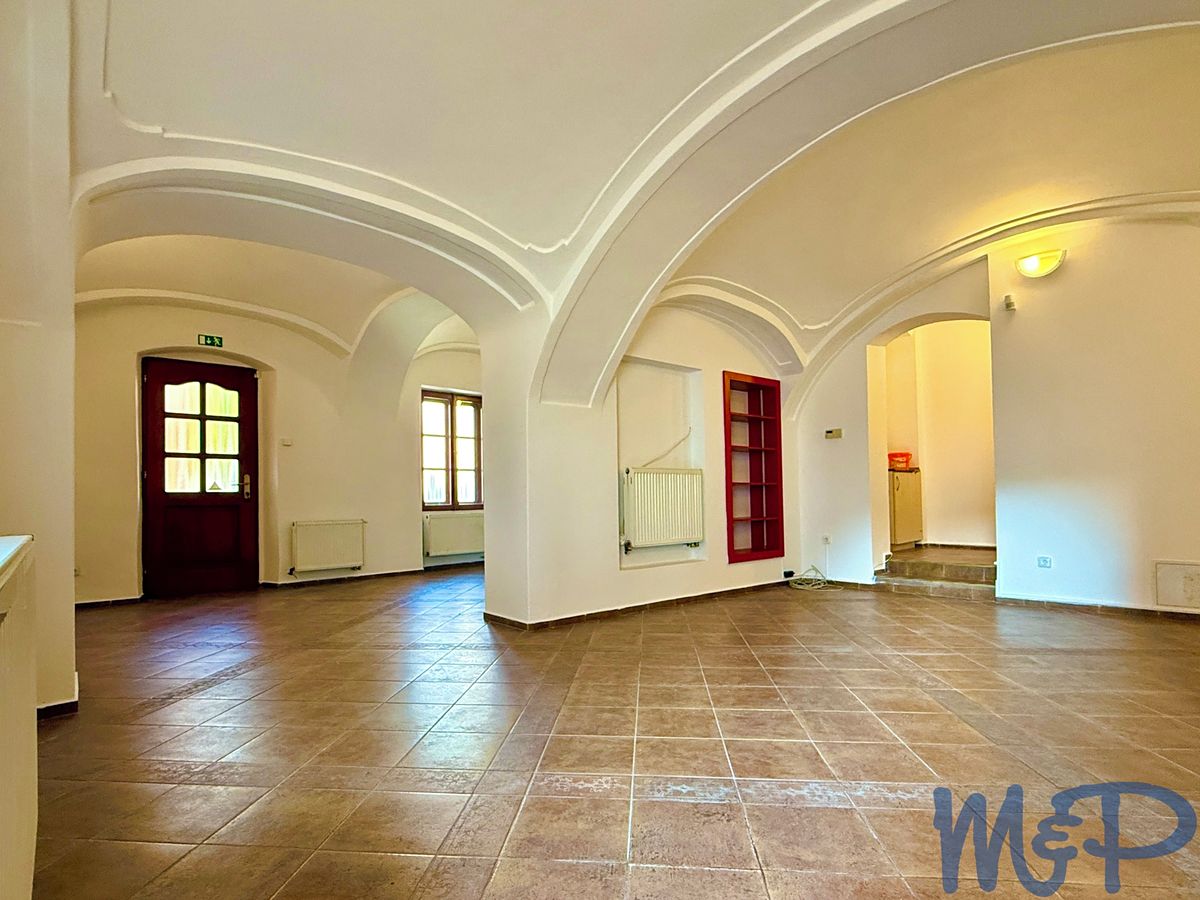 Prodej bytu atypický 251 m² – fotografie 2