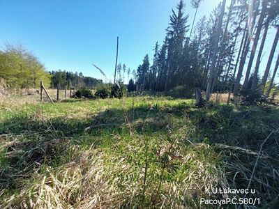 Prodej lesa 3571 m²