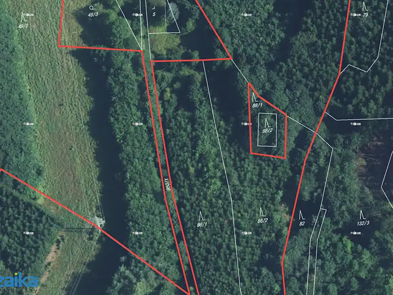 Prodej lesa 40093 m², Strážná – náhled fotky 2