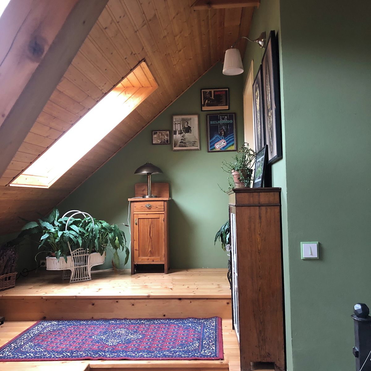 Prodej rodinného domu 241 m², pozemek 2055 m² – fotografie 5