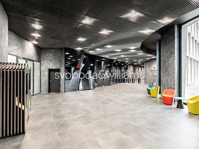 Pronájem komerčního prostoru, 447 m² (2 z 4)