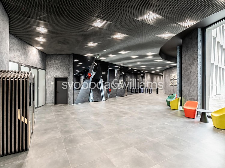 Pronájem komerčního prostoru, 447 m² (2 z 4)