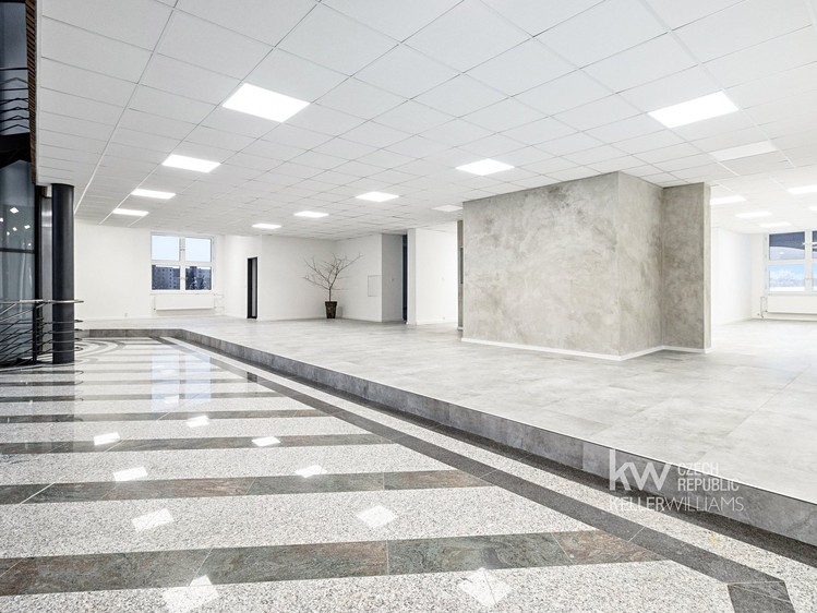 Комерційне приміщення в оренду, 427 м² (4 з 29)