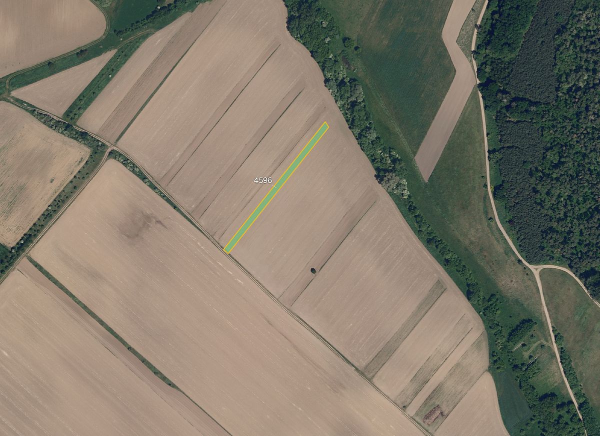 Prodej pole 3239 m² – fotografie 2