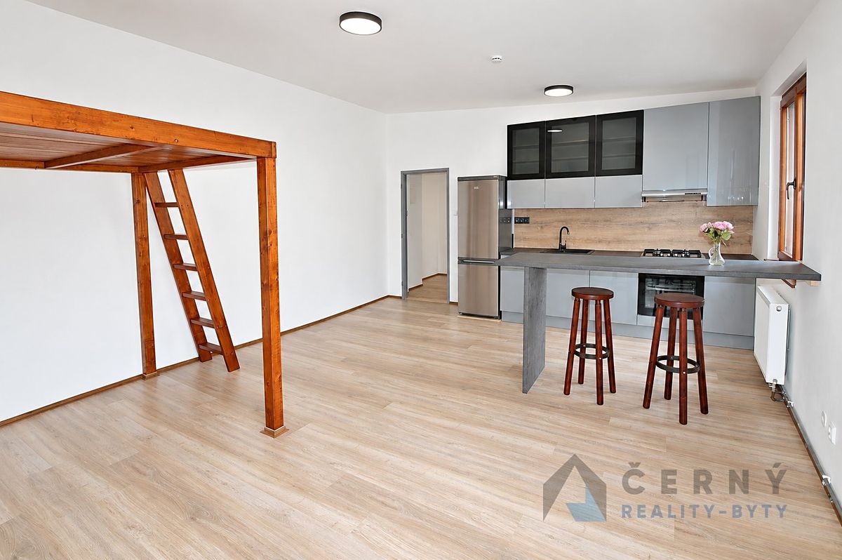 Pronájem bytu 1+kk 45 m² – fotografie 2