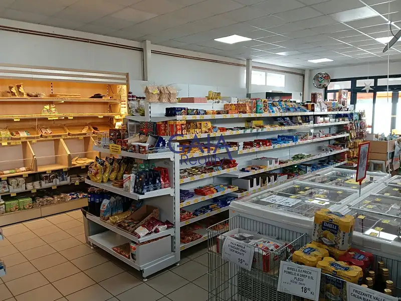 Prodej obchodního prostoru 218 m², Velim – náhled fotky 2