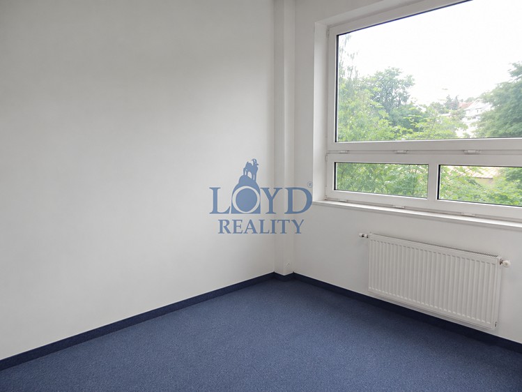 Pronájem komerčního prostoru, 274 m² (11 z 22)