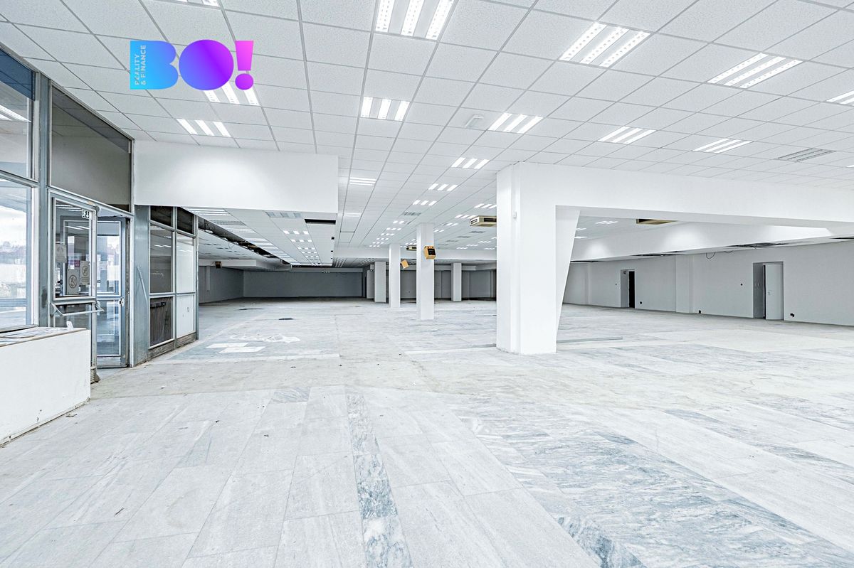 Pronájem obchodního prostoru 890 m² – fotografie 3