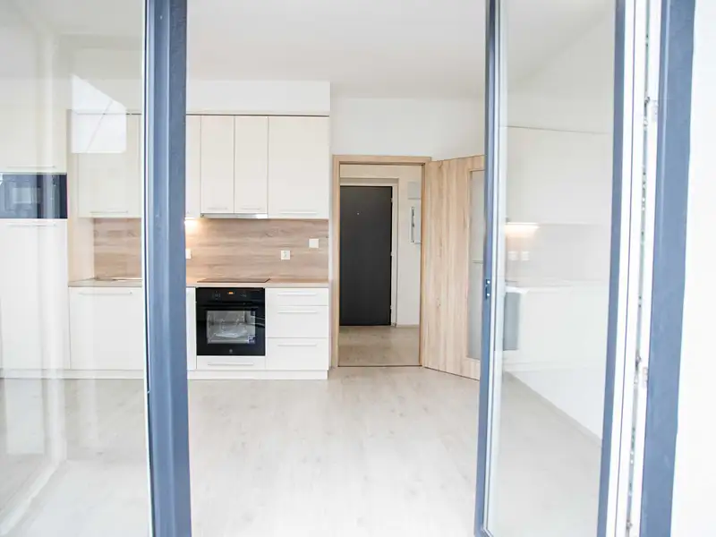 Pronájem bytu 1+kk 34 m², Heřmanova Huť – náhled fotky 3