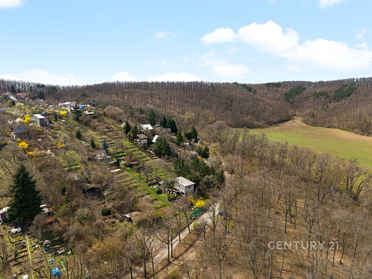 Ostatní
