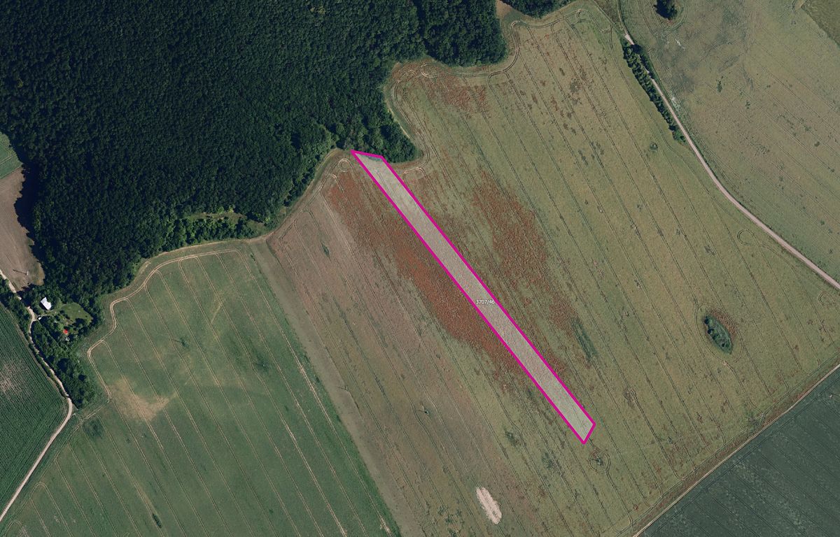 Prodej pole 5157 m²