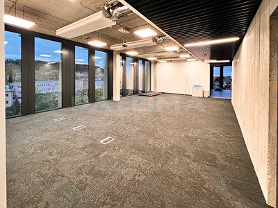 Pronájem komerčního prostoru, 284 m² (2 z 13)
