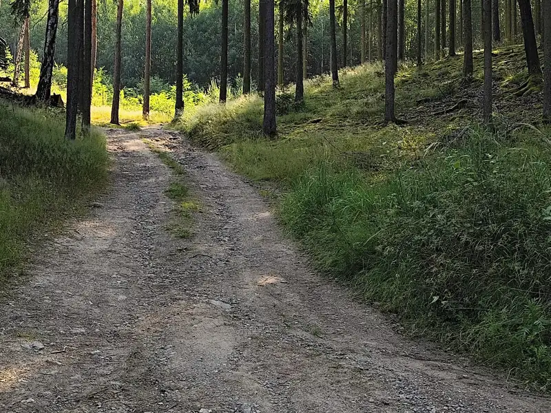 Prodej chaty 90 m², pozemek 90 m², Újezd nade Mží – náhled fotky 2