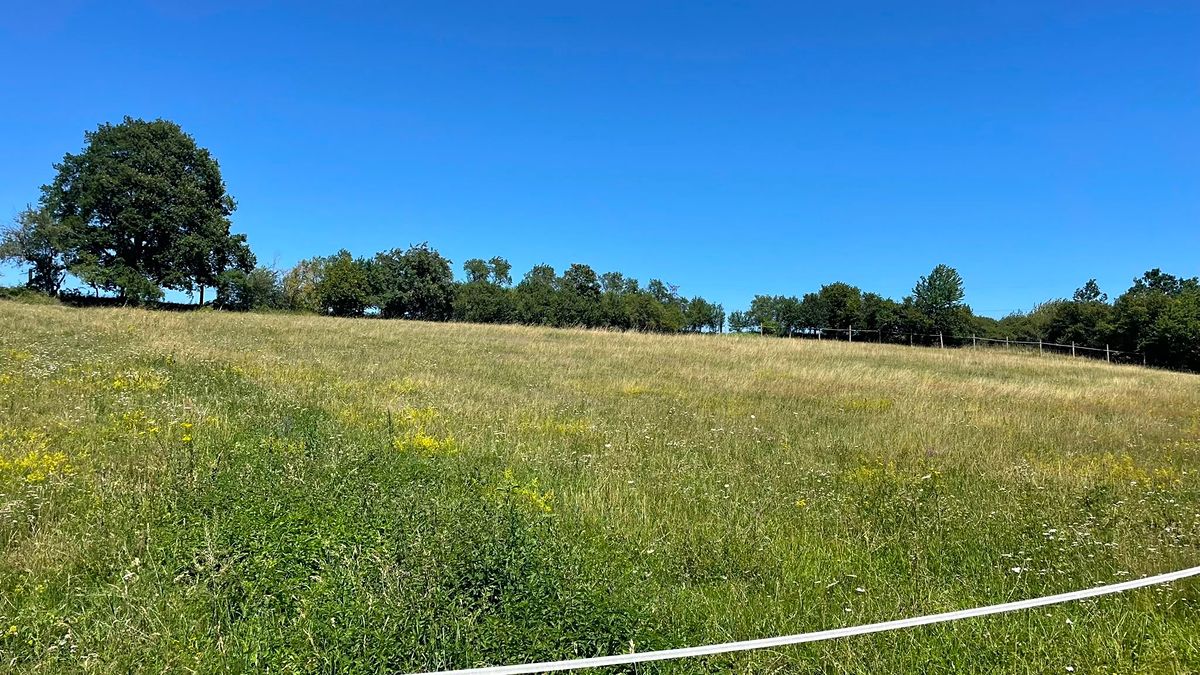 Prodej louky 6229 m² – fotografie 2