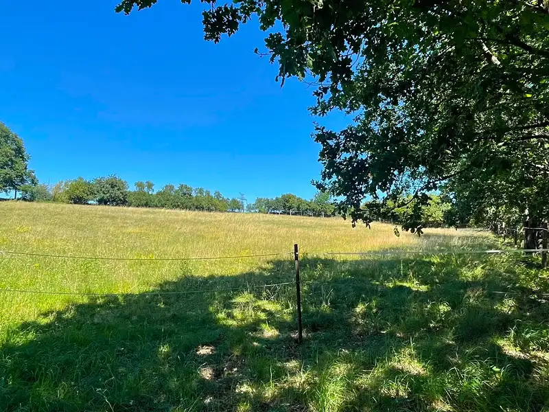 Prodej pozemku 6229 m², Bojanovice – náhled fotky 3