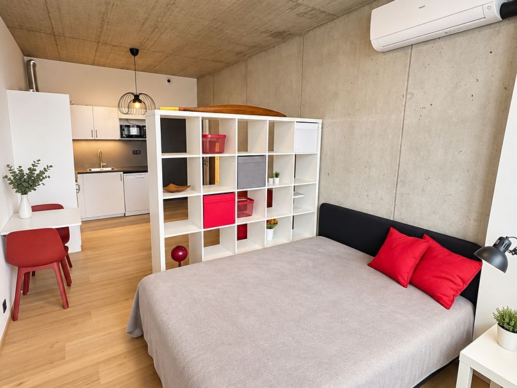 Wohnung 1+kk zur Miete, 38 m² (5 von 9)