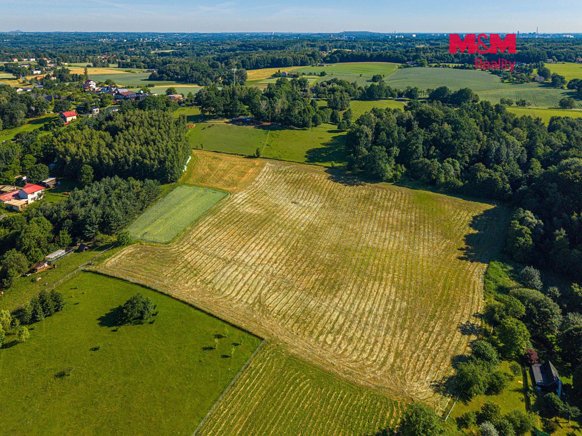 Prodej louky 29562 m² – fotografie 2