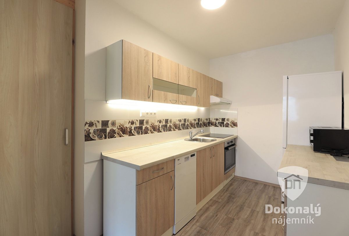 Pronájem bytu 3+kk 66 m² – fotografie 4