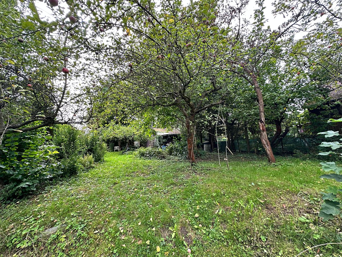 Prodej zahrady 904 m² – fotografie 5
