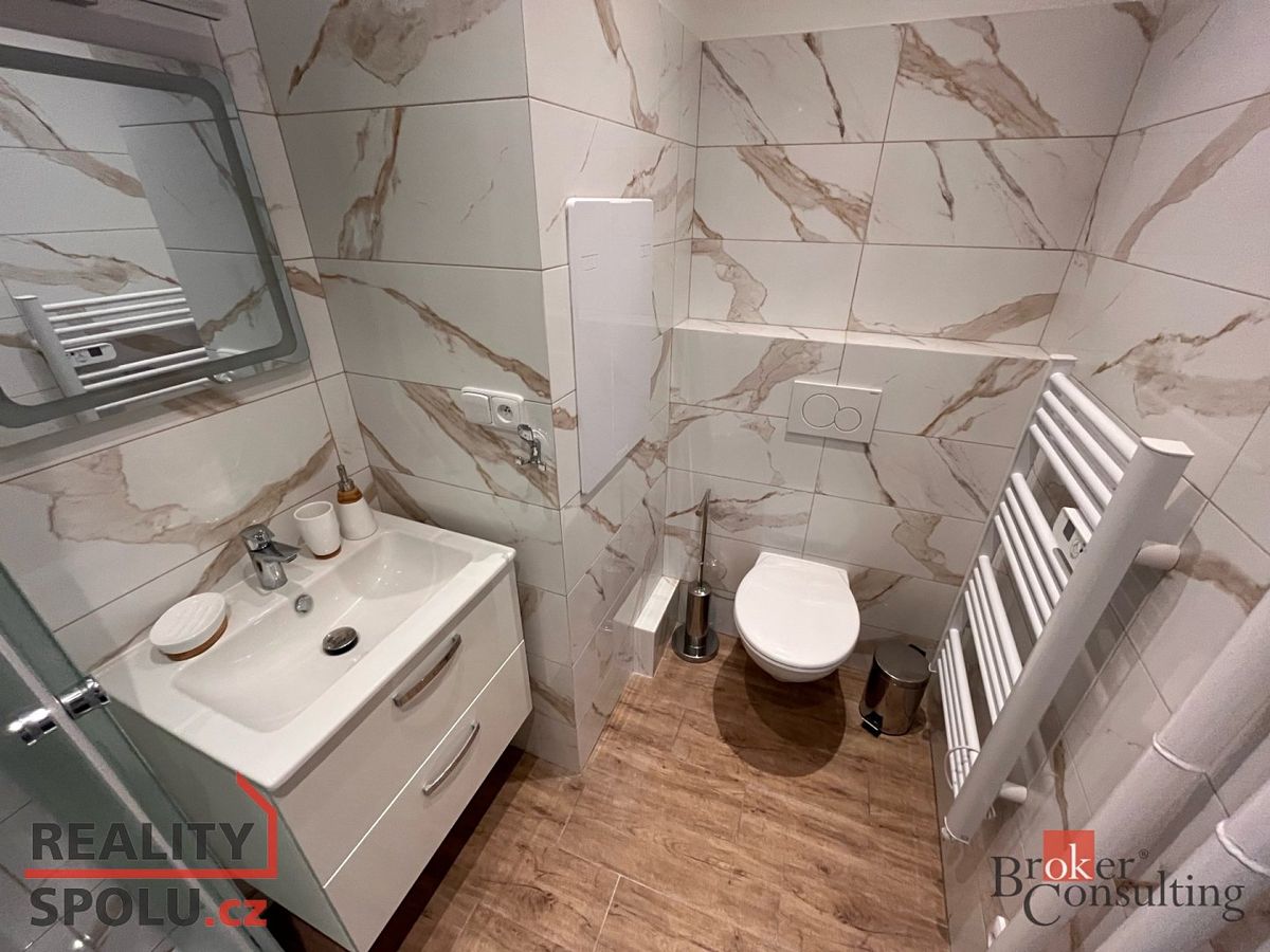 Pronájem bytu 1+1 40 m² – fotografie 4