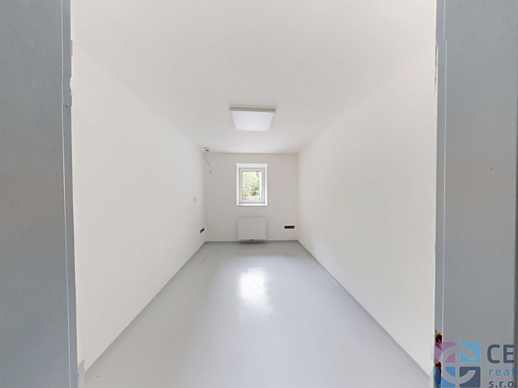 Pronájem komerčního prostoru, 350 m² (8 z 14)