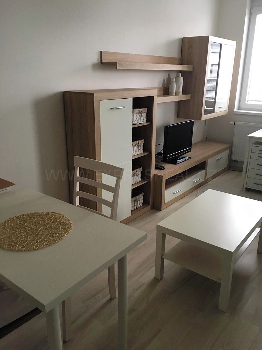 Pronájem bytu 1+kk 46 m² – fotografie 4