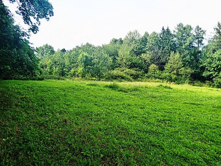 Grundstück zum Kauf, 1.502 m² (2 von 4)