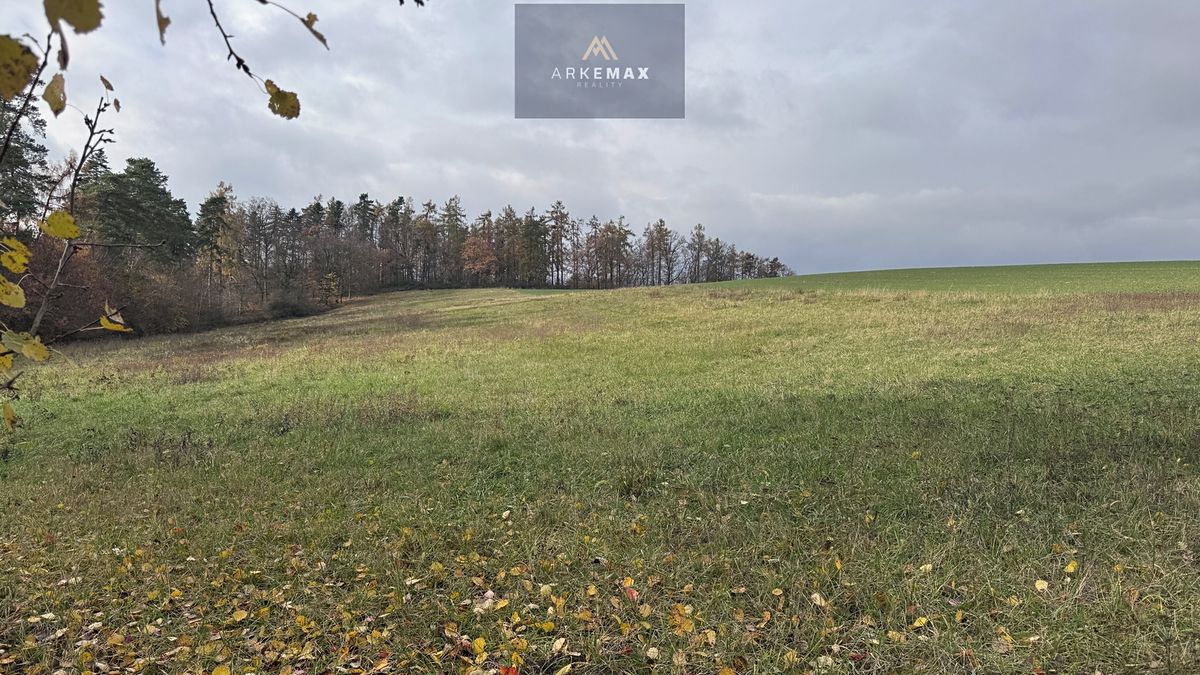 Prodej pole 17151 m², Vřesina – fotka 1 z 3