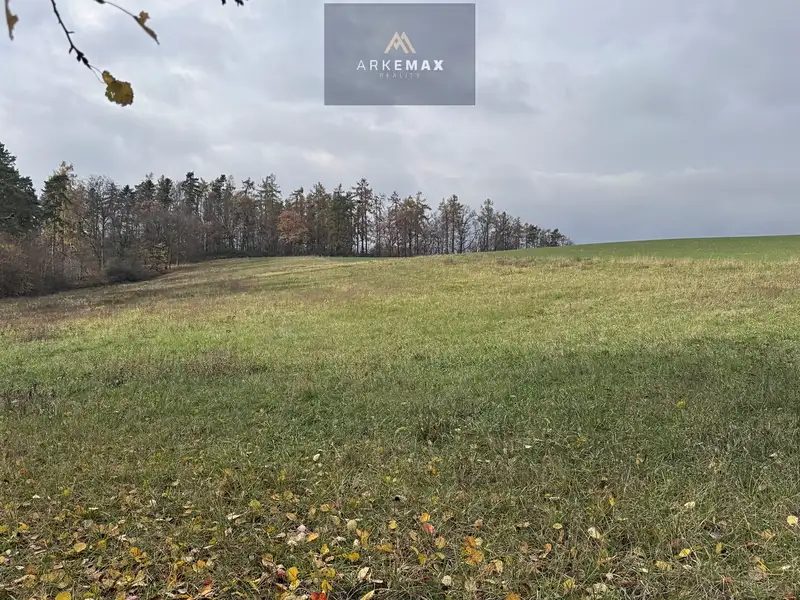 Prodej pole 17151 m², Vřesina – náhled fotky 1