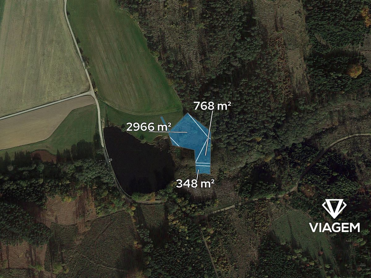 Prodej lesa 4700 m² – fotografie 2