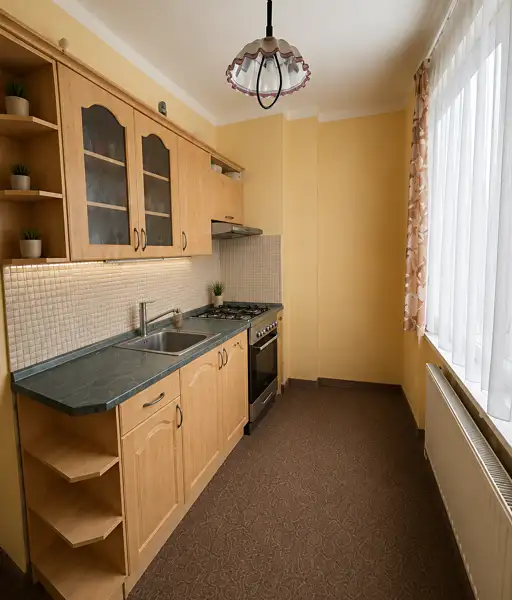 Prodej bytu 3+1 65 m², Sv. Čecha, Vrbno pod Pradědem, okres Bruntál