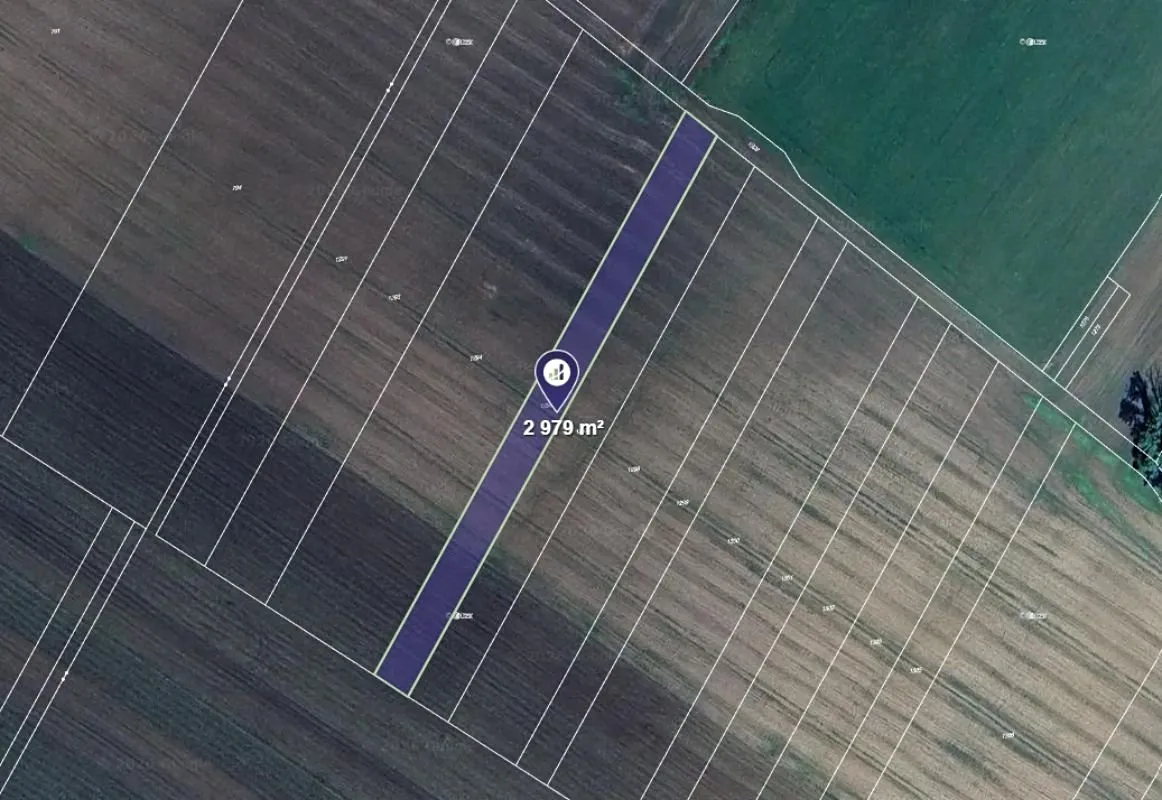 Prodej pole 2979 m²