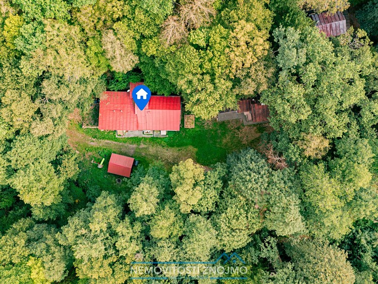 Ostatní