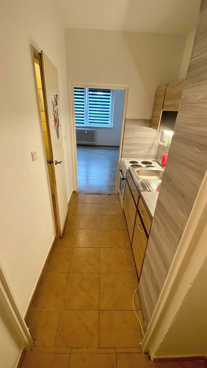 Pronájem bytu 1+kk 29 m² – fotografie 5