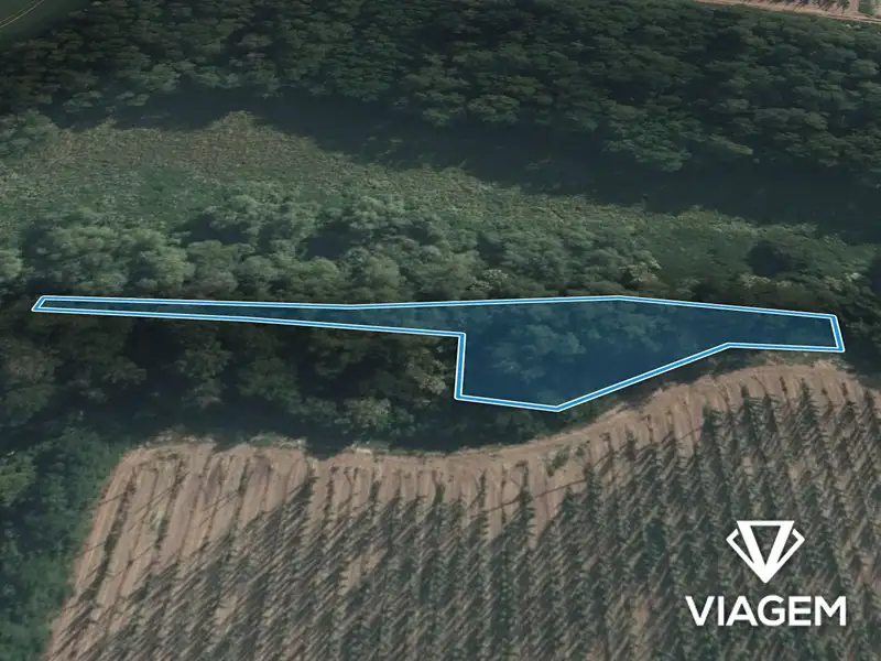 Prodej pole 1165 m², Lipno – náhled fotky 2