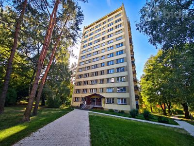 Pronájem bytu 2+1 43 m²