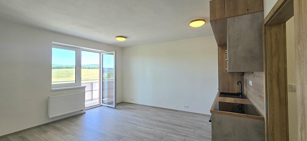 Pronájem bytu 1+kk 39 m² – fotografie 4