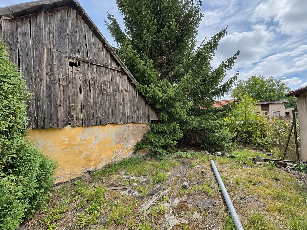 Fotka 6 z 16