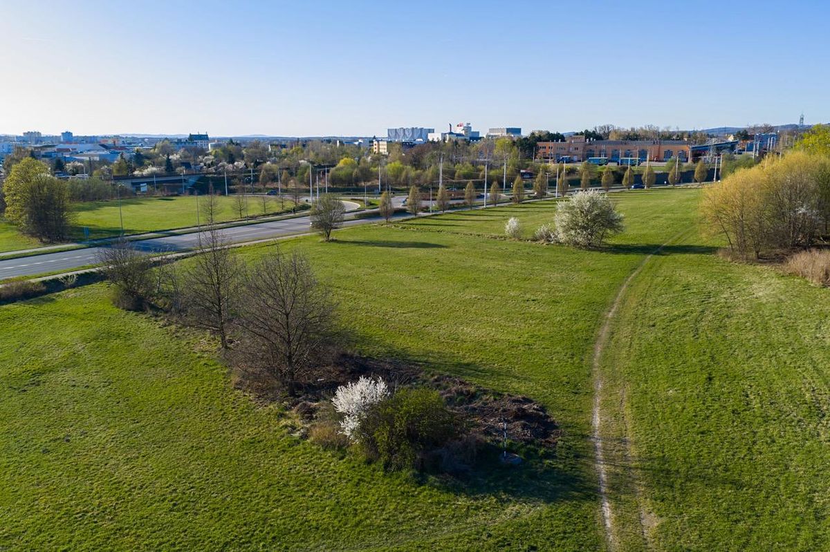 Prodej komerčního pozemku 17191 m² – fotografie 3
