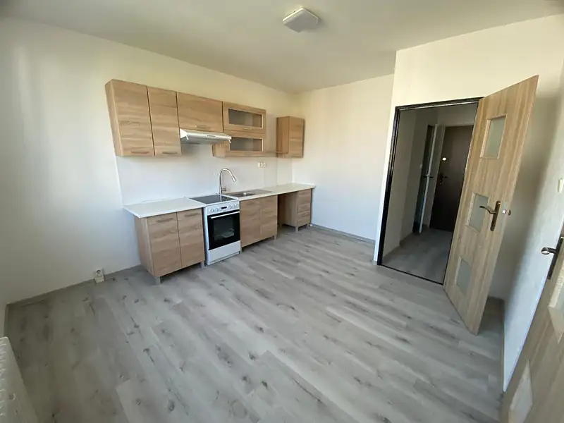 Prodej bytu 1+1 35 m², Bílina – náhled fotky 2