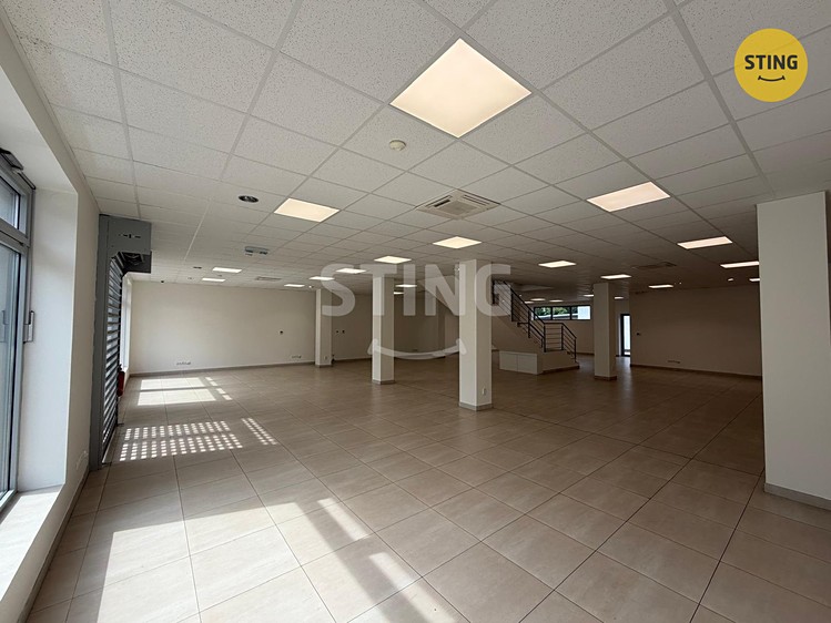 Gewerbefläche zur Miete, 350 m² (14 von 22)