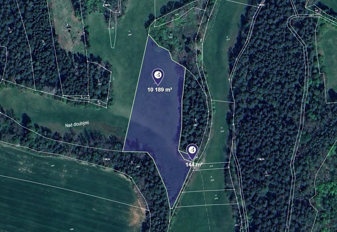 Prodej louky 10333 m²
